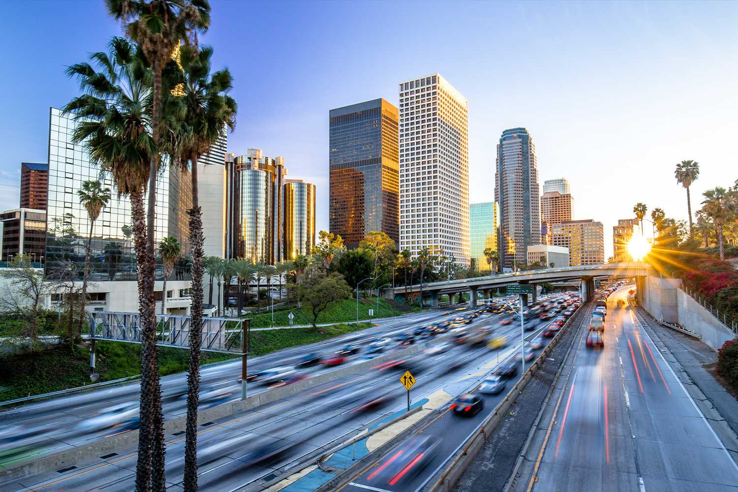 Investor Opportunities in LA