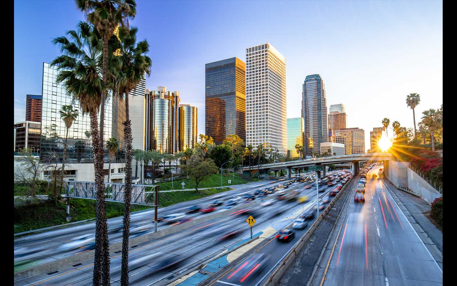 Investor Opportunities in LA